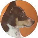 Juan Ignacio Giménez profile picture